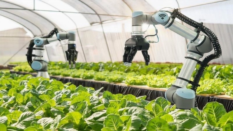 旋耕机刀轴总成：了解其报价背后的关键因素**