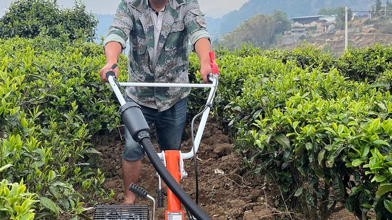 安徽粮食烘干机：揭秘高效烘干背后的技术奥秘**