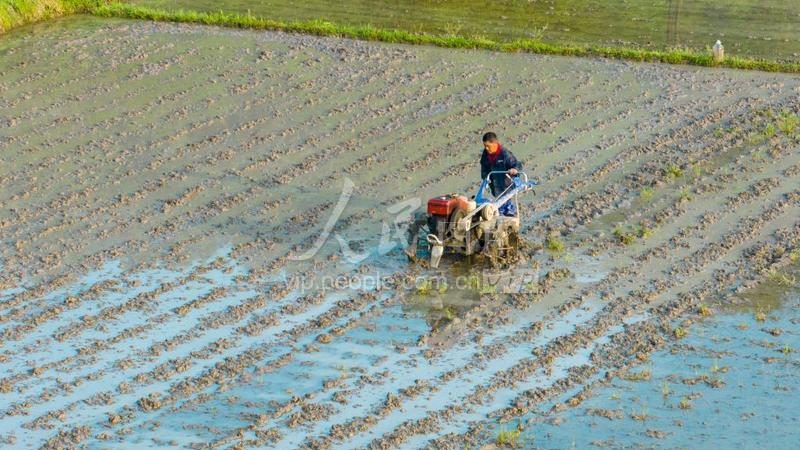 农业机械批发市场选购攻略：如何避免踩坑，选购心仪机型**